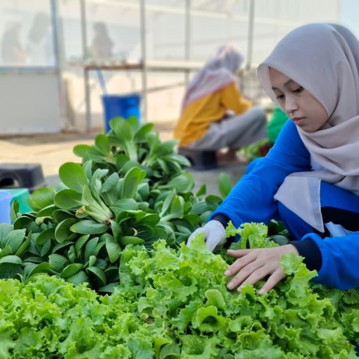 العمل في الحديقة المائية